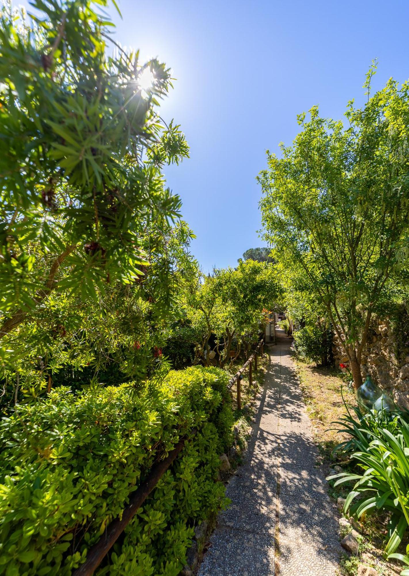 Cottage Pura Vigna Immerso Nella Natura Vicino Al Mare ポルト・サント・ステーファノ エクステリア 写真