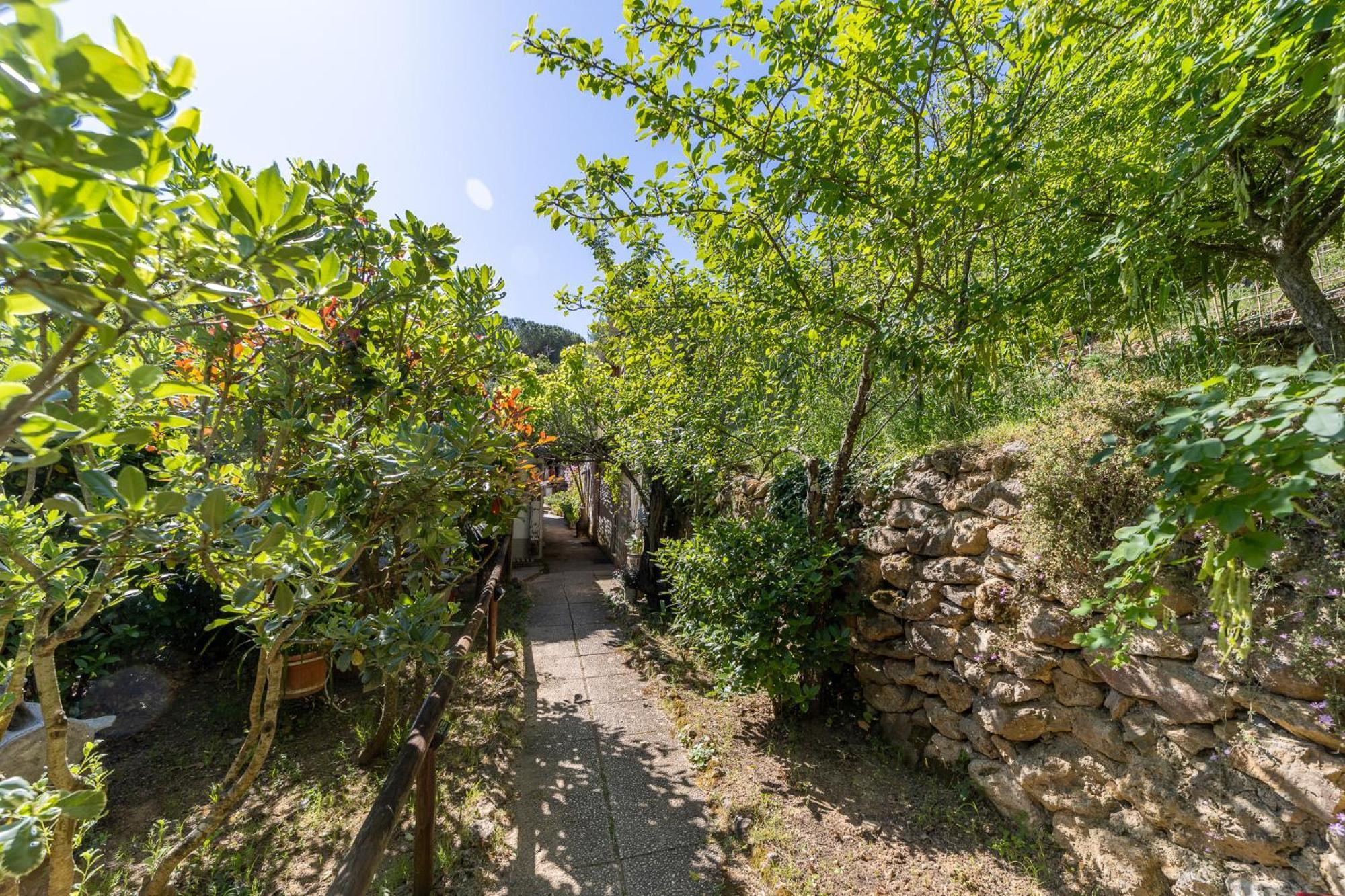 Cottage Pura Vigna Immerso Nella Natura Vicino Al Mare ポルト・サント・ステーファノ エクステリア 写真