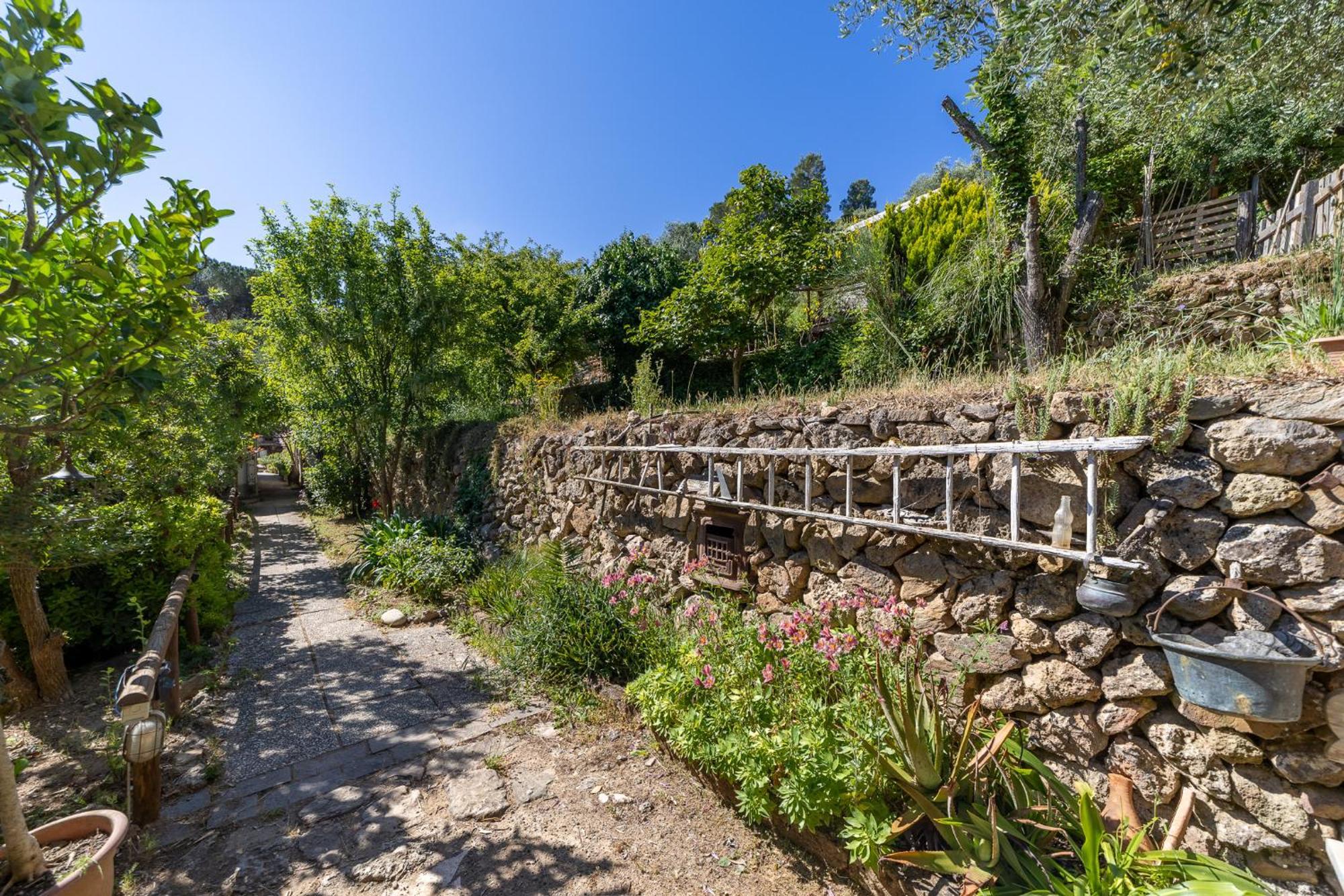 Cottage Pura Vigna Immerso Nella Natura Vicino Al Mare ポルト・サント・ステーファノ エクステリア 写真